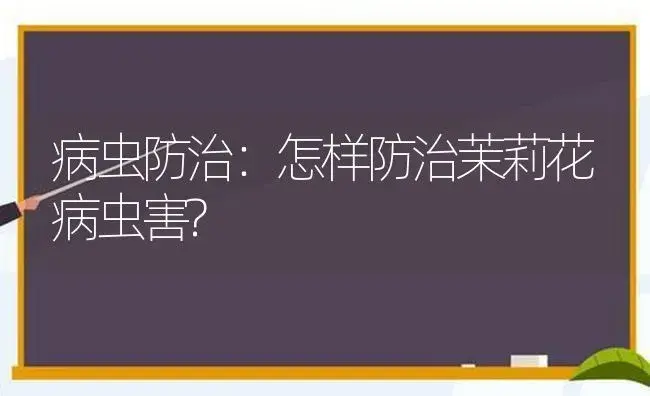 病虫防治：怎样防治茉莉花病虫害? | 植物病虫害