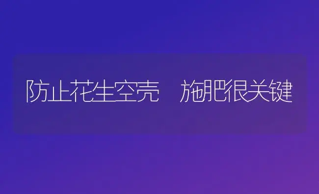 防止花生空壳 施肥很关键 | 植物肥料