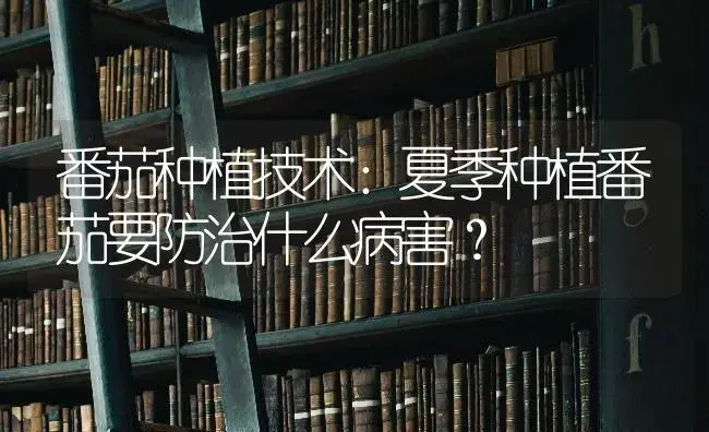 番茄种植技术：夏季种植番茄要防治什么病害？ | 蔬菜种植