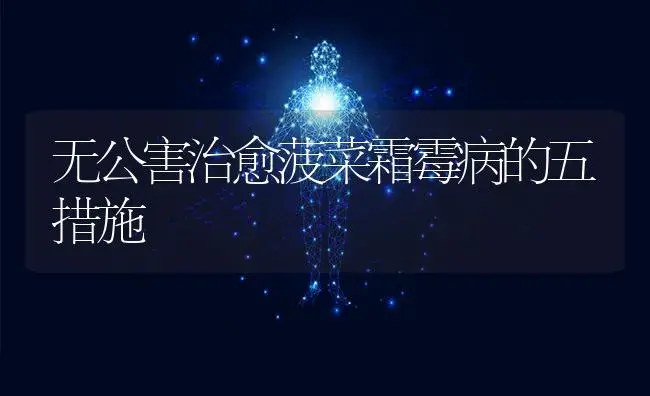 无公害治愈菠菜霜霉病的五措施 | 蔬菜种植