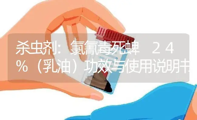 杀虫剂：氯氰毒死蜱 24%（乳油） | 适用防治对象及农作物使用方法说明书 | 植物农药