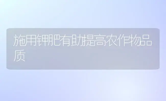 施用钾肥有助提高农作物品质 | 植物肥料