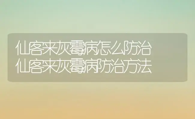 仙客来灰霉病怎么防治  仙客来灰霉病防治方法 | 植物病虫害