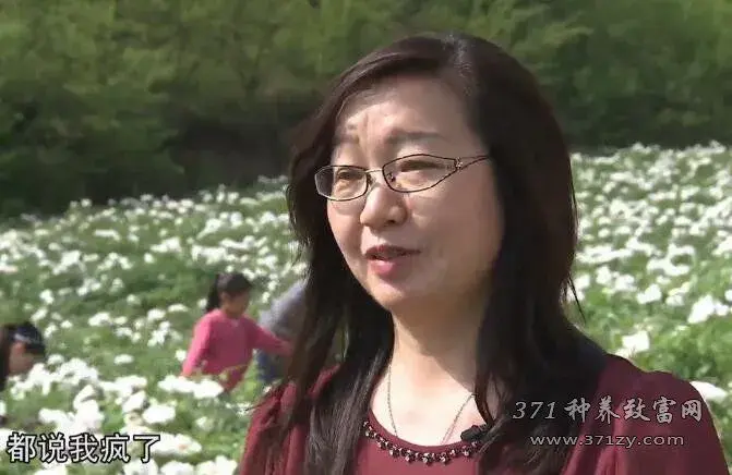 洛阳女教授杨晓红种牡丹加工牡丹花茶的苦与乐