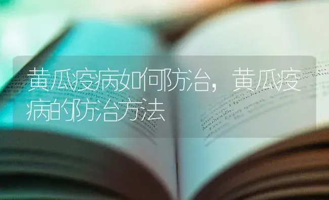 黄瓜疫病如何防治，黄瓜疫病的防治方法 | 蔬菜种植