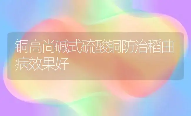 铜高尚碱式硫酸铜防治稻曲病效果好 | 植物病虫害