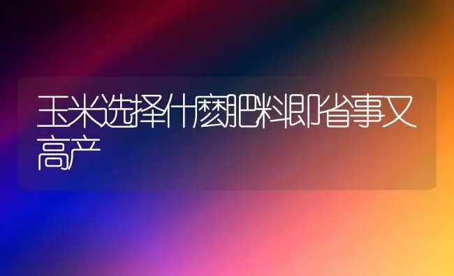 玉米选择什麽肥料即省事又高产 | 植物肥料