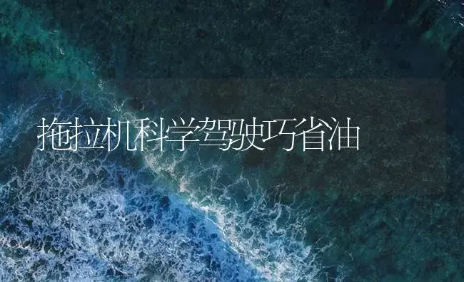 拖拉机科学驾驶巧省油 | 农资农机