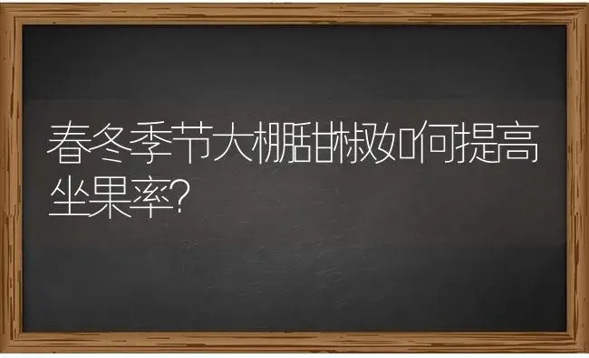 春冬季节大棚甜椒如何提高坐果率？ | 蔬菜种植