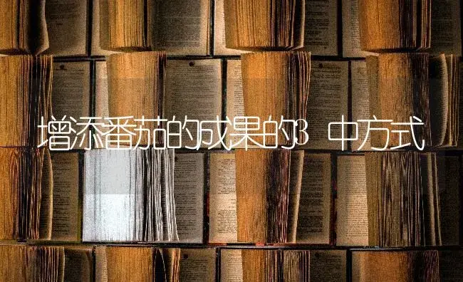 增添番茄的成果的3中方式 | 蔬菜种植