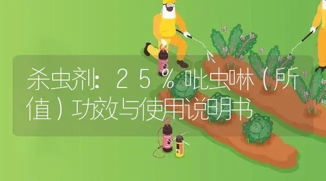 杀虫剂：25%吡虫啉（所值） | 适用防治对象及农作物使用方法说明书 | 植物农药