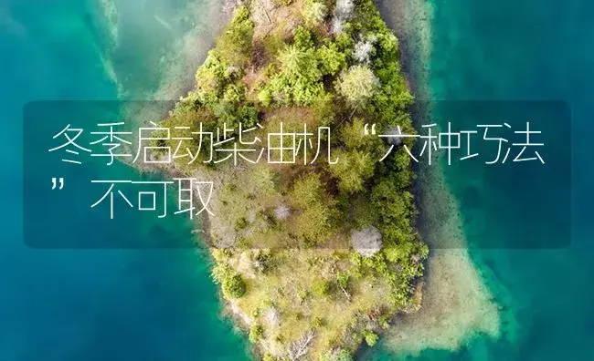 冬季启动柴油机“六种巧法”不可取 | 农资农机