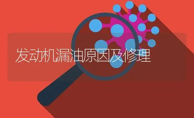 发动机漏油原因及修理 | 农资农机