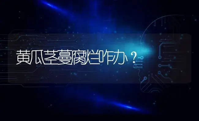 黄瓜茎蔓腐烂咋办？ | 蔬菜种植