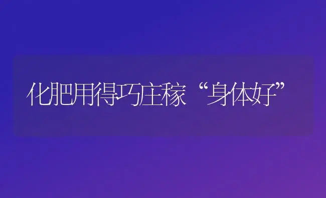 化肥用得巧庄稼“身体好” | 植物肥料