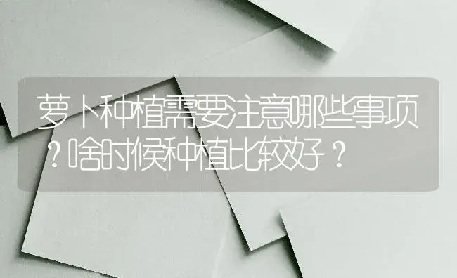 萝卜种植需要注意哪些事项？啥时候种植比较好？ | 蔬菜种植