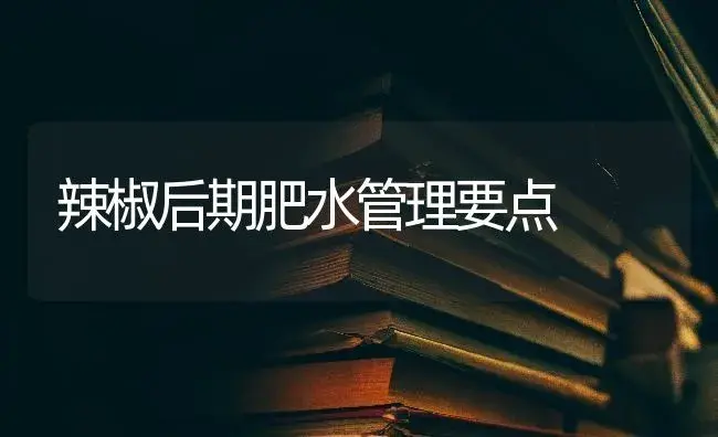 辣椒后期肥水管理要点 | 蔬菜种植