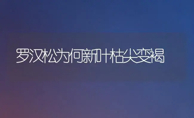 肥料深层施用能提高肥效 | 植物肥料