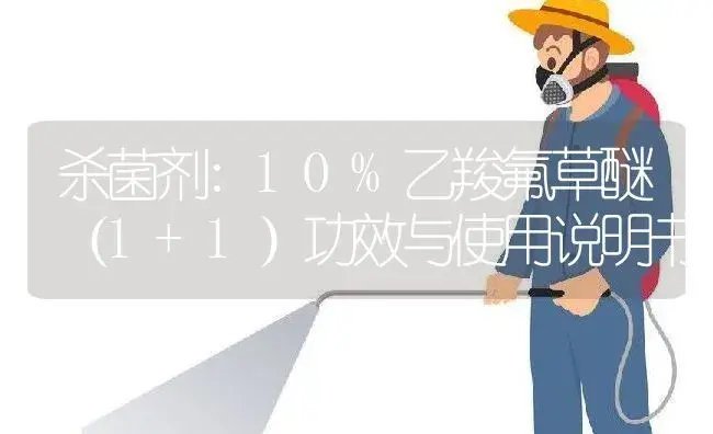 杀菌剂：10%乙羧氟草醚（1+1） | 适用防治对象及农作物使用方法说明书 | 植物农药