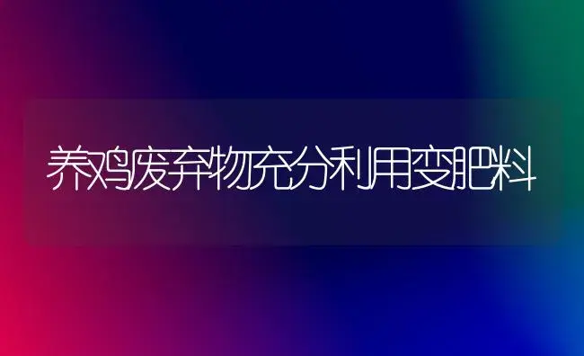 养鸡废弃物充分利用变肥料 | 植物肥料