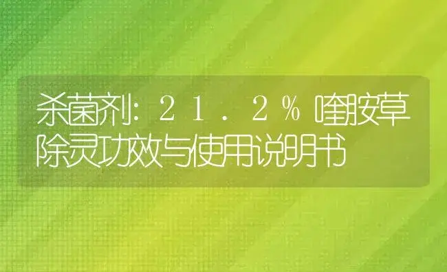 杀菌剂：21.2%喹胺草除灵 | 适用防治对象及农作物使用方法说明书 | 植物农药