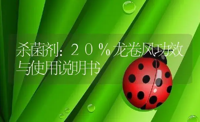 杀菌剂：20%龙卷风 | 适用防治对象及农作物使用方法说明书 | 植物农药