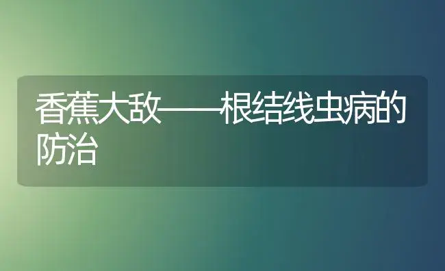 香蕉大敌――根结线虫病的防治 | 植物病虫害