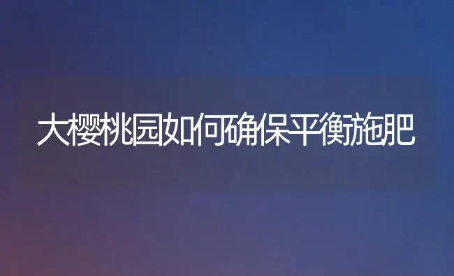 大樱桃园如何确保平衡施肥 | 植物肥料