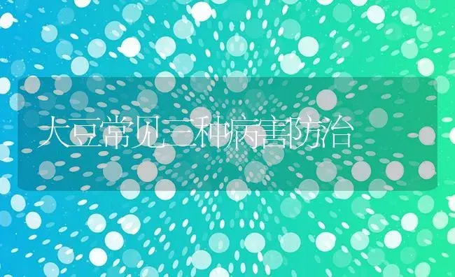 大豆常见三种病害防治 | 植物病虫害