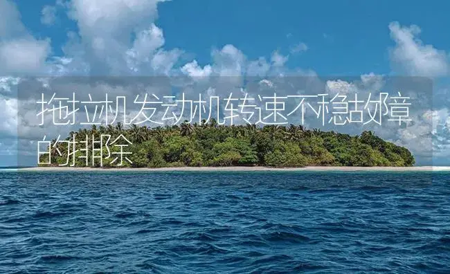 拖拉机发动机转速不稳故障的排除 | 农资农机