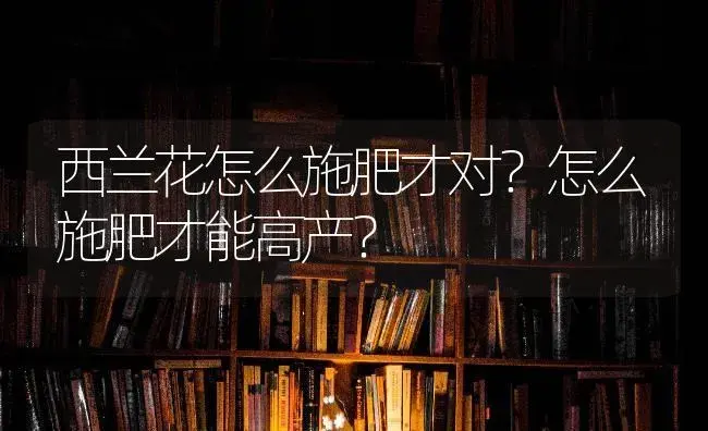 西兰花怎么施肥才对？怎么施肥才能高产？ | 蔬菜种植