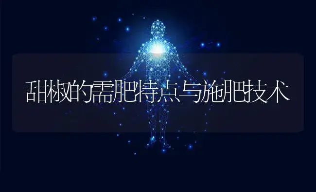 甜椒的需肥特点与施肥技术 | 蔬菜种植