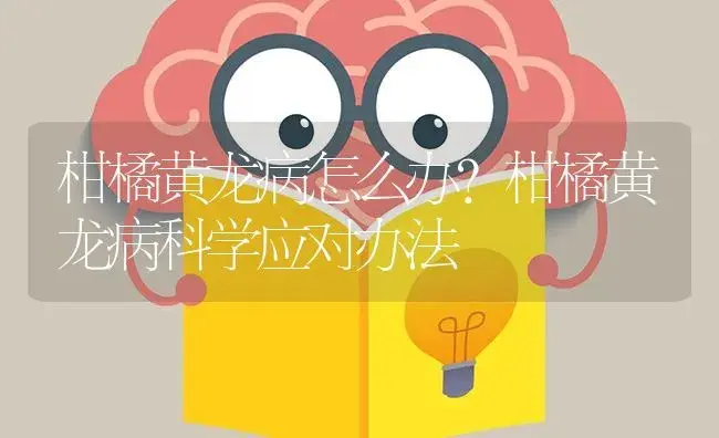 柑橘黄龙病怎么办？柑橘黄龙病科学应对办法 | 蔬菜种植