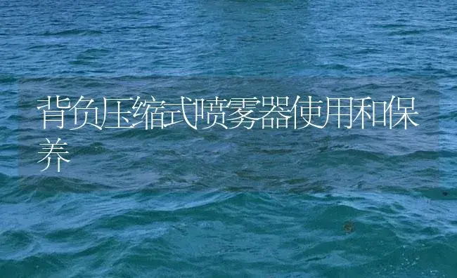 背负压缩式喷雾器使用和保养 | 农资农机
