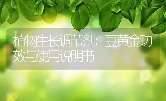 植物生长调节剂：豆黄金 | 适用防治对象及农作物使用方法说明书 | 植物农药