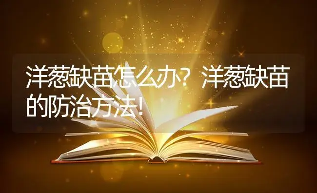 洋葱缺苗怎么办？洋葱缺苗的防治方法！ | 蔬菜种植