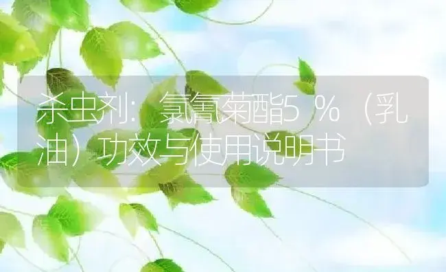 杀虫剂：氯氰菊酯5%（乳油） | 适用防治对象及农作物使用方法说明书 | 植物农药