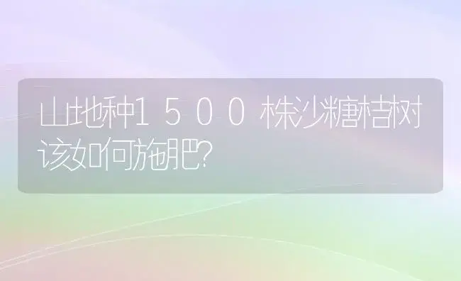 山地种1500株沙糖桔树该如何施肥？ | 植物肥料