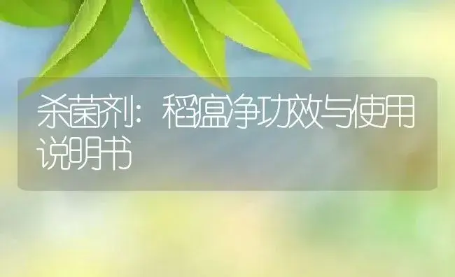 杀菌剂：稻瘟净 | 适用防治对象及农作物使用方法说明书 | 植物农药