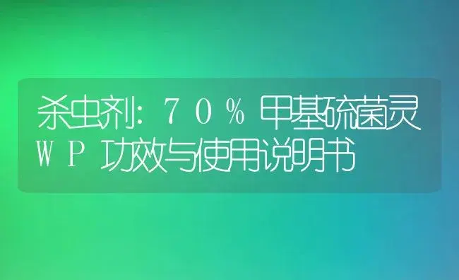 杀虫剂：70%甲基硫菌灵WP | 适用防治对象及农作物使用方法说明书 | 植物农药