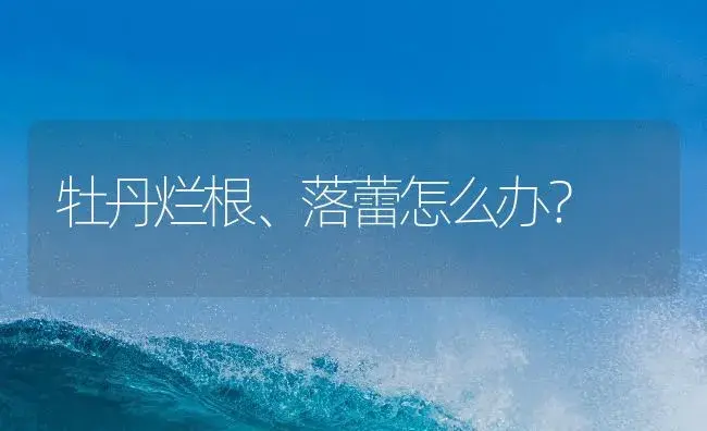 牡丹烂根、落蕾怎么办？ | 植物病虫害