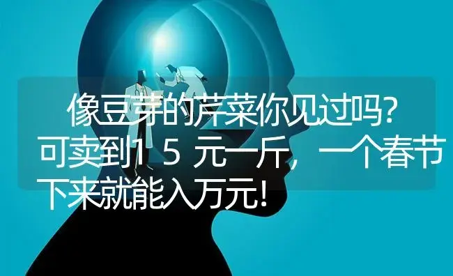 治疗茶花病虫害不求人 自己轻松搞定 | 蔬菜种植