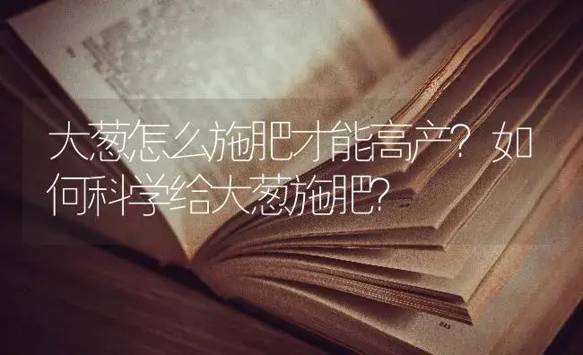 大葱怎么施肥才能高产？如何科学给大葱施肥？ | 蔬菜种植