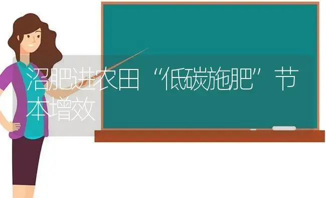 沼肥进农田“低碳施肥”节本增效 | 植物肥料