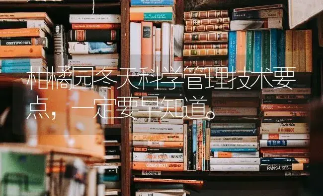 柑橘园冬天科学管理技术要点，一定要早知道。 | 蔬菜种植