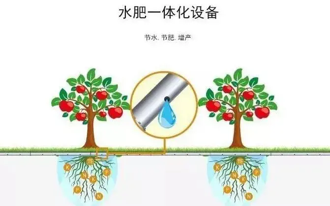 水肥一体化技术为啥难推广？