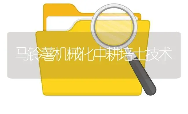 马铃薯机械化中耕培土技术 | 农资农机