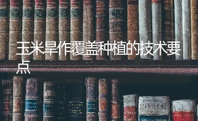 玉米旱作覆盖种植的技术要点 | 蔬菜种植