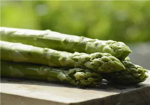 芦笋的种植技术要点，施肥也要注意时间段！