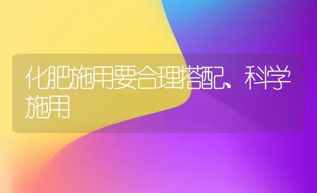 化肥施用要合理搭配、科学施用 | 植物肥料